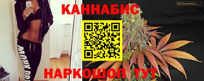 сатива Рязань