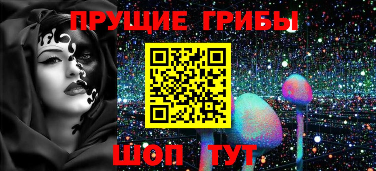 Галлюциногенные грибы мицелий Приморско-Ахтарск