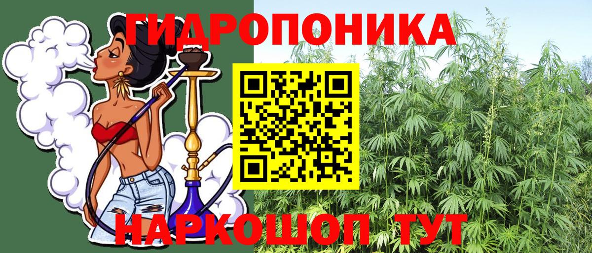Приморско-Ахтарск  Конопля гибрид  Бошки марихуана план  Бошки марихуана AK-47  МАРИХУАНА ГИДРОПОН  Вход с VPN 